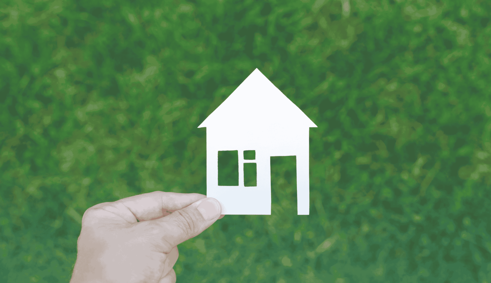 OBBLIGO DEI CAM NEGLI APPALTI: SUPPORTO DALLA RETE DI COMMITTENZA QUALIFICATA 