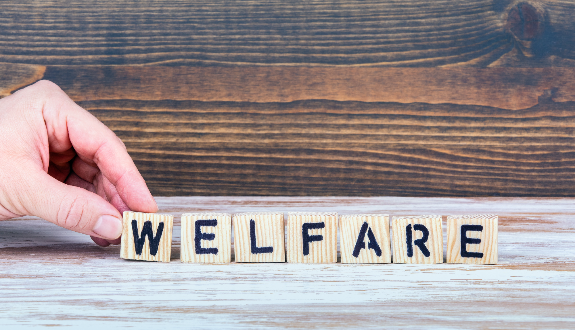 DIPARTIMENTO WELFARE E SANITÀ DI ASMEL: NUOVO PRESIDIO OPERATIVO AL SERVIZIO DEI COMUNI